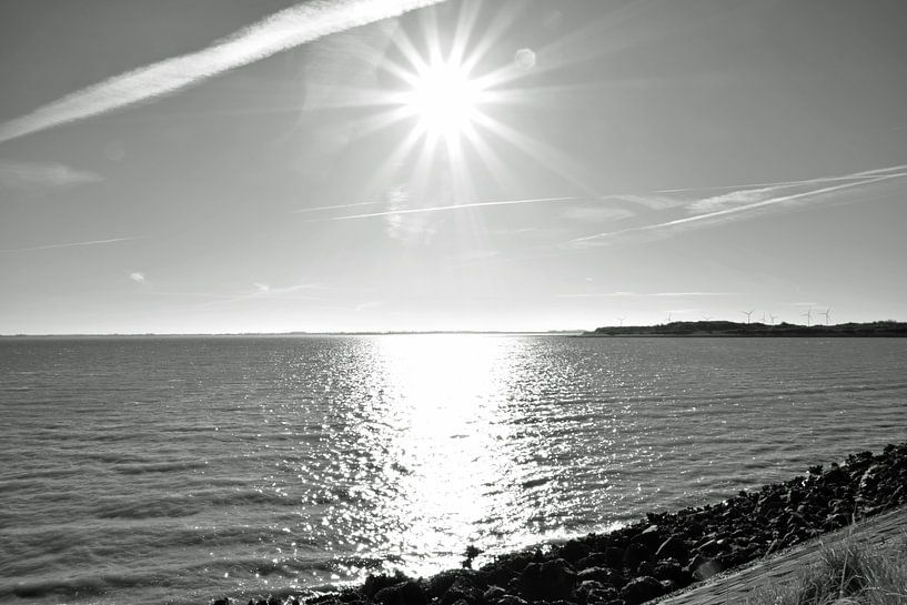 Beautiful black and white landscape of the Zeeland waters in the nature reserve on Neeltje-Jans by Robin Verhoef
