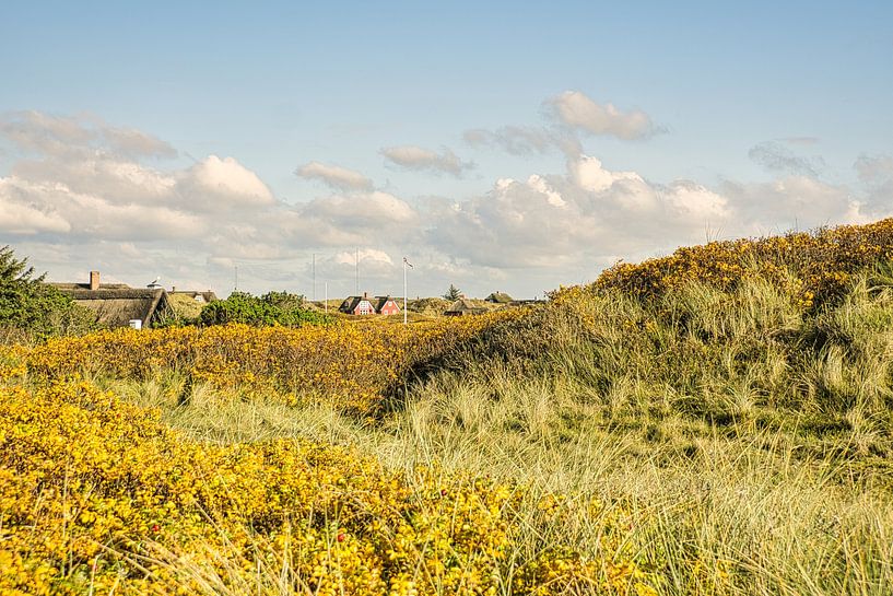 Blåvand dunes landscape in Denmark at the North Sea by Martin Köbsch