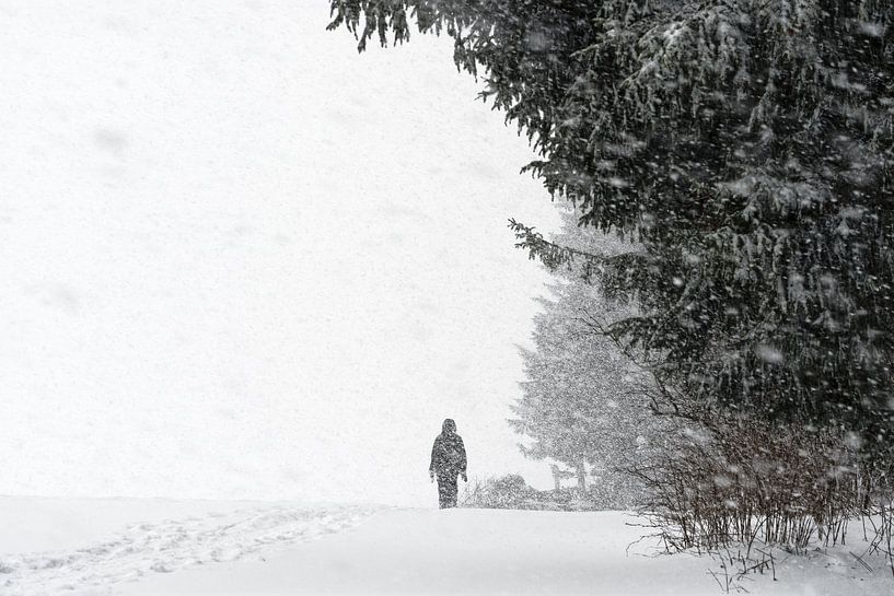 Schneesturm von Ralf Lehmann