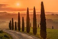 Sunrise in Tuscany, Italy