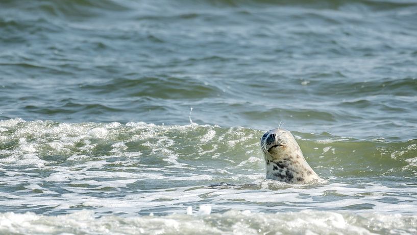 Besucherin bei The Raging Globe von Jan van der Knaap