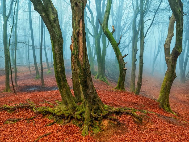 Une invitation brumeuse par Lars van de Goor