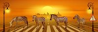 Use the zebra crossing