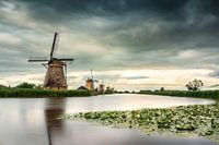 Kinderdijk im Abendlicht