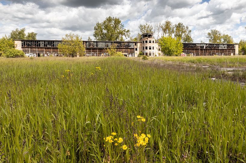 20 by Frank Herrmann