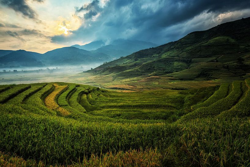 L'agriculture en Chine par Walljar