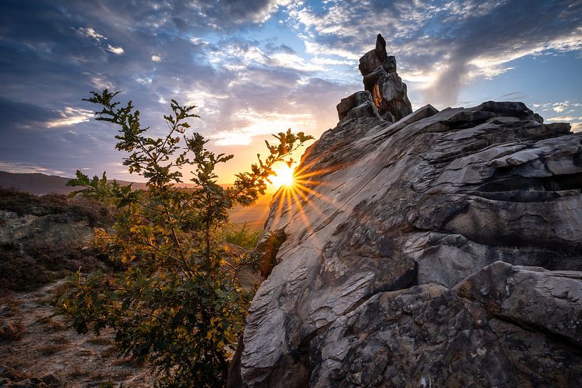 Die Teufelsmauer bei Weddersleben von Steffen Henze