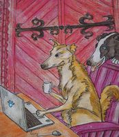 Kyte en Yula ( OTSJO )