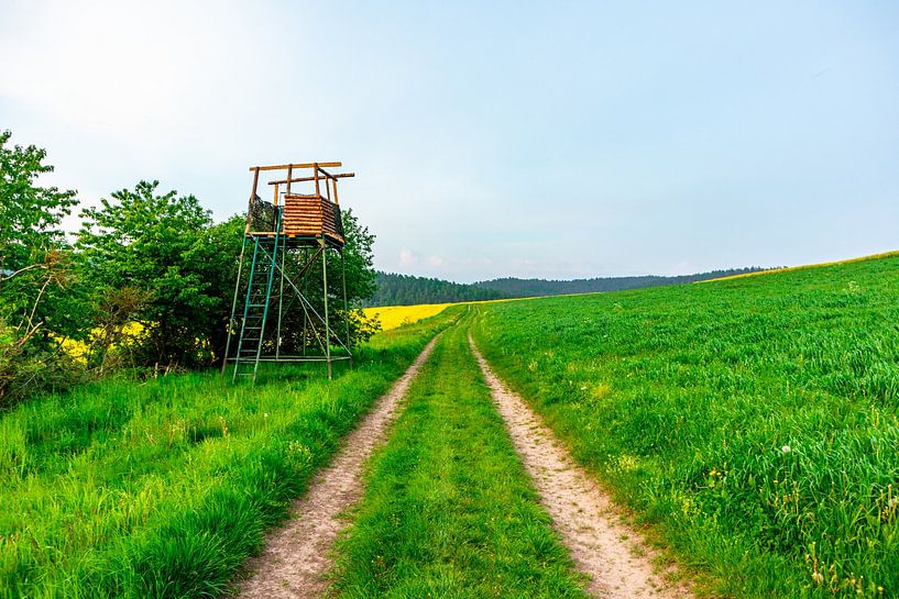 Randonnée estivale à vélo dans les environs de Schmalkalden jusqu'à la vallée de la Werra près de Fambach - Thuringe - Allemagne par Oliver Hlavaty