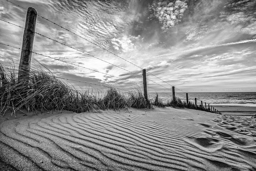 Strandleven! by Dirk van Egmond