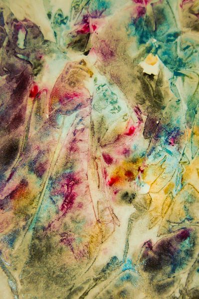 Pfauin von Niek Traas