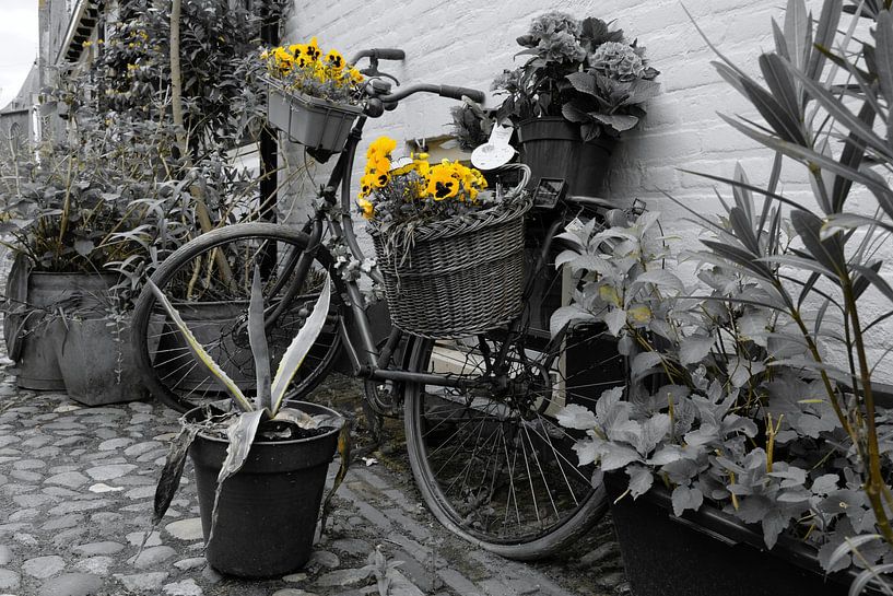 Bicycle with yellow violins by Framed by Elisabeth