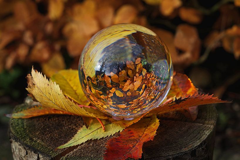 Herbst-Paket von Mieke van der Beek