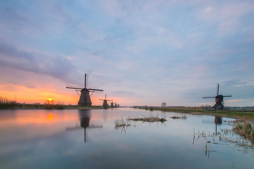  A new beginning by Jan Koppelaar Fotografie