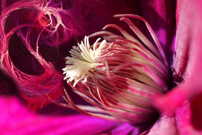Herz aus rosafarbenen Eclairs von Christine GUILLET
