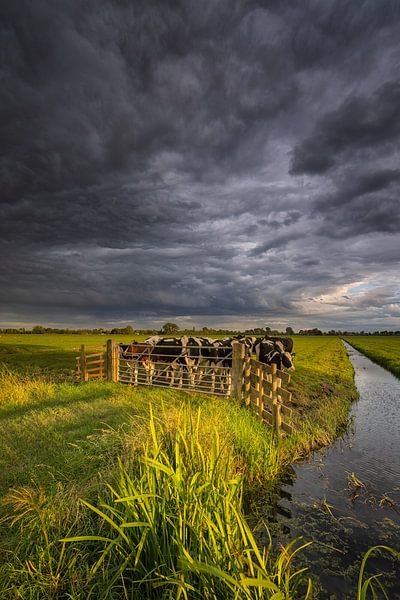 Thunderstorms over the polder by Bas Meelker