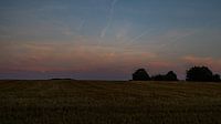 Sunset over grain field