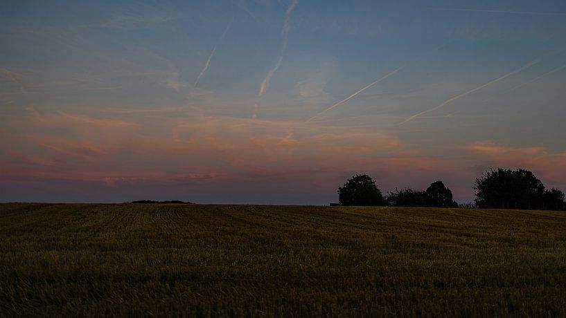 Sonnenuntergang über einem Getreidefeld von Patrick Mertens aka Pat Probleme