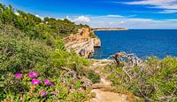 Vue de la côte rocheuse de Majorque, Espagne, îles Baléares.