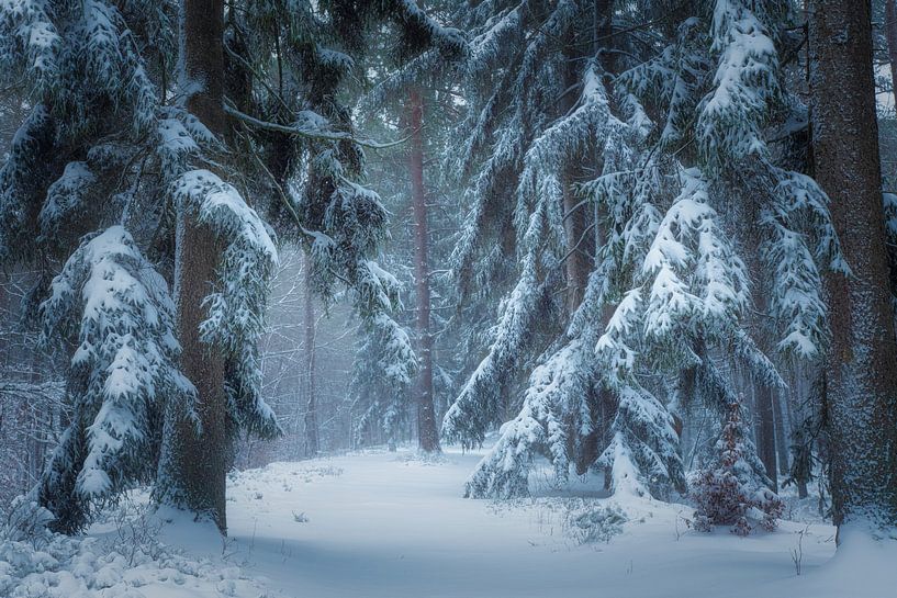 Loenen waterfall in winter by Rob Sprenger