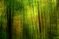 Impression d'automne dans la forêt