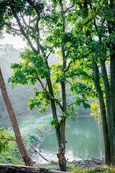 Lac à l'intérieur de la réserve nationale de Mudumalai par Lens & Light Photography