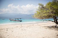 Beach and sea with a boat and a tree