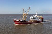 Fischkutter auf dem Wattenmeer