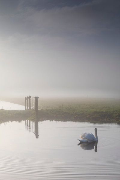 Matin brumeux dans la campagne du Cœur vert en Hollande du Sud par gaps photography