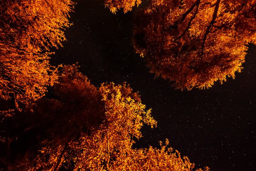 Rivière Stars par Ellis Peeters