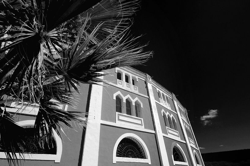 Classical Spanish architecture (black and white) by Rob Blok