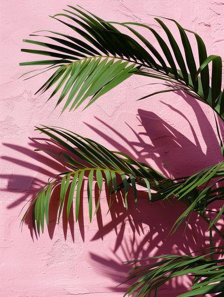 Les vibrations tropicales par Studio Allee