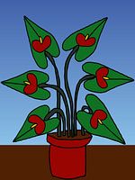 290. Digital Anthurium