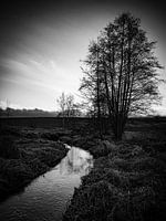 Silence - Romantic stream in the Waldviertel