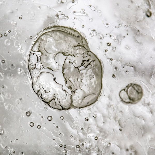 Blanc Abstrait | Poussière d'étoiles | Origine | Fine Art par Nanda Bussers