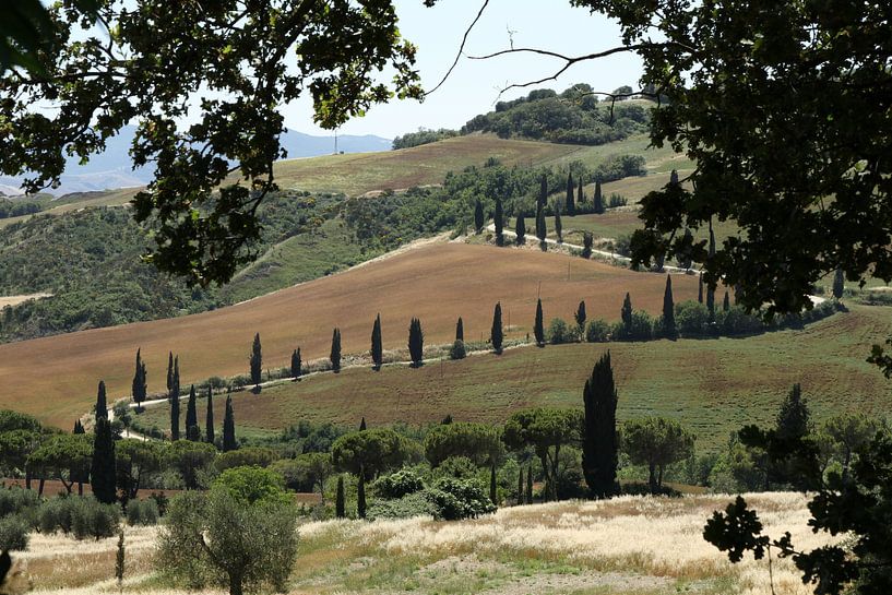 Tuscan landscape by Sander Miedema