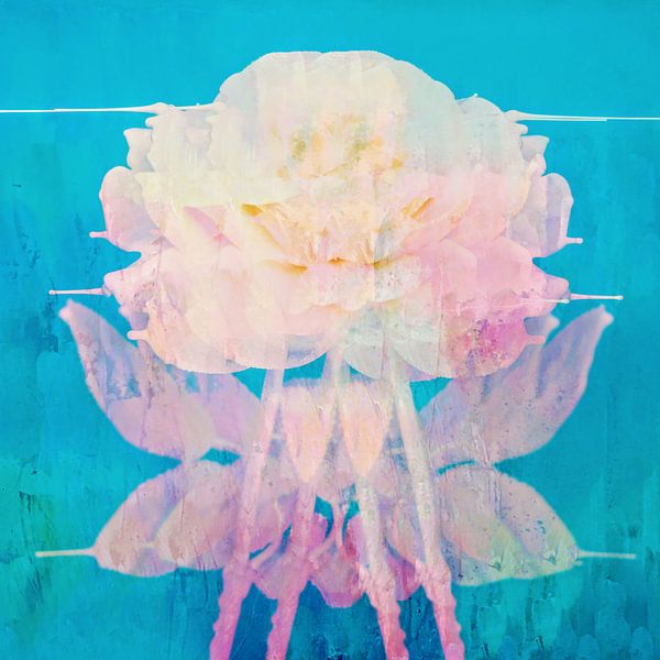 Rose Im Meer von FRESH Fine Art