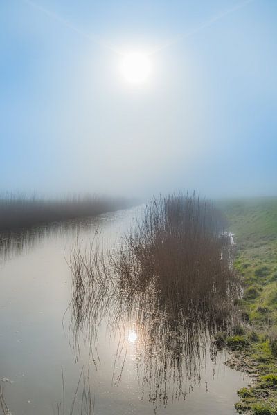 Die Sonne spiegelte sich in einem Graben direkt hinter dem Waddendijk bei Koehool. von Harrie Muis