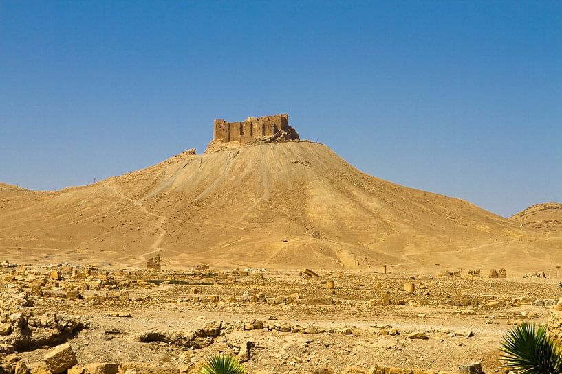 Blick zur Zitadelle – Wächterin der Wüste von WeltReisender Magazin