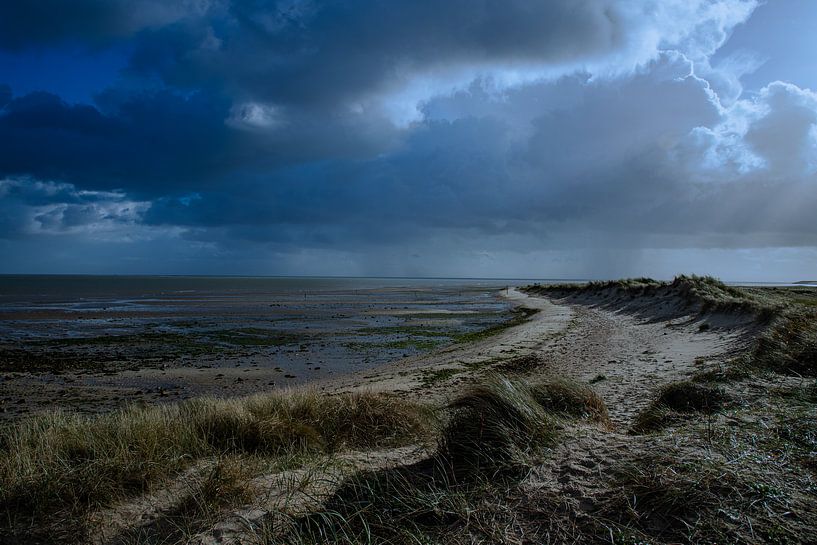 Texel, natuurgebied De Volharding bij de Cocksdorp van Jacky Keeris