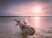 Blick auf die Sonne.