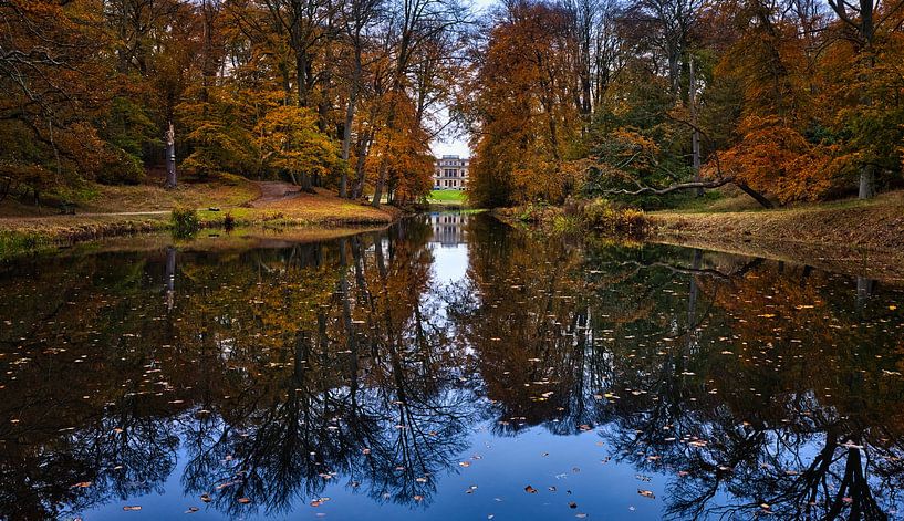 Waldreflexion von peterheinspictures