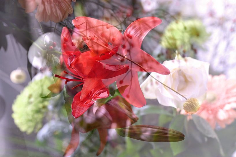 Blumen artikulieren Träume von Art. by Janine