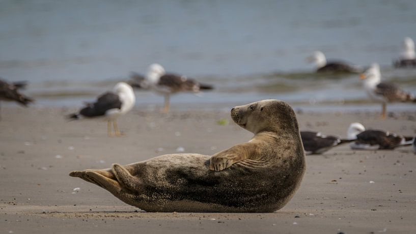 Lets take it easy. by Randy van Domselaar