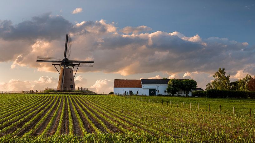 Düffels Möl - Montferland von Natuurlijk Achterhoek
