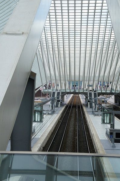 2016 art 19 LUIK station Guillemaine von jan kamps