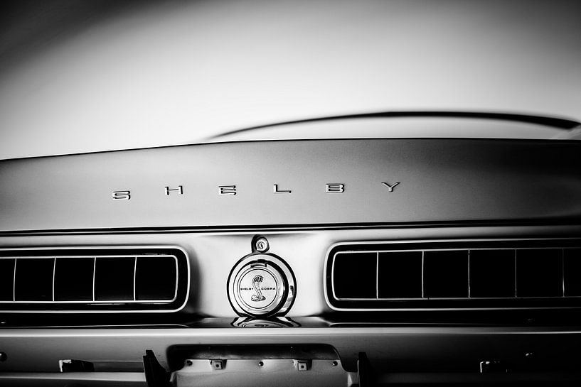 Ford Shelby GT 350 Fastback par Linda Hutten