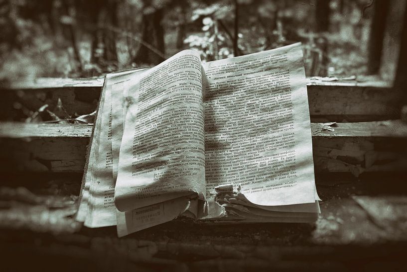 1 disaster, 1000 stories, Chernobyl by Caught By Light