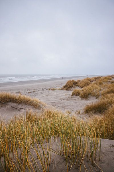 dunes, schiermonnikoog par Jasper Verolme