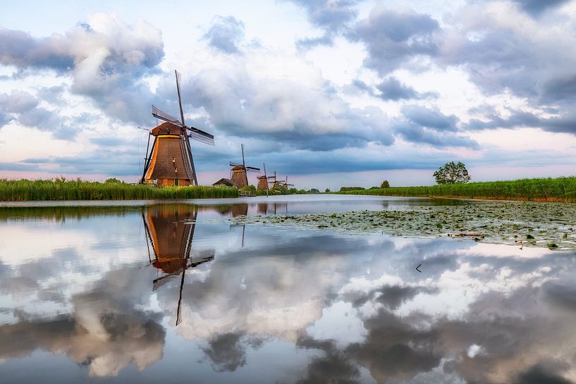 Kinderdijk - Windmills during blue hour by Kees Dorsman
